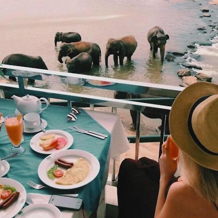 פינאוואלה Hotel Elephant Park - New Deal! Half Off Airport Pickups Available מראה חיצוני תמונה