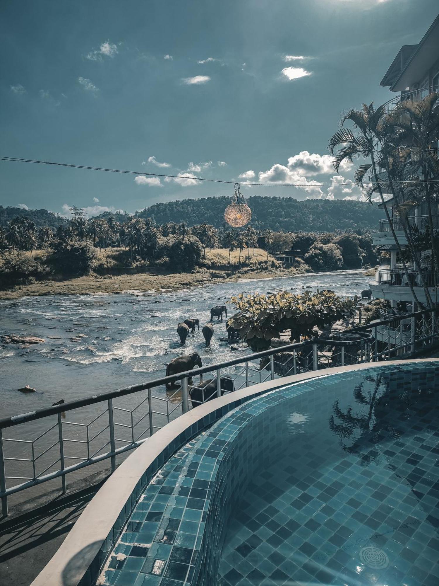 פינאוואלה Hotel Elephant Park - New Deal! Half Off Airport Pickups Available מראה חיצוני תמונה