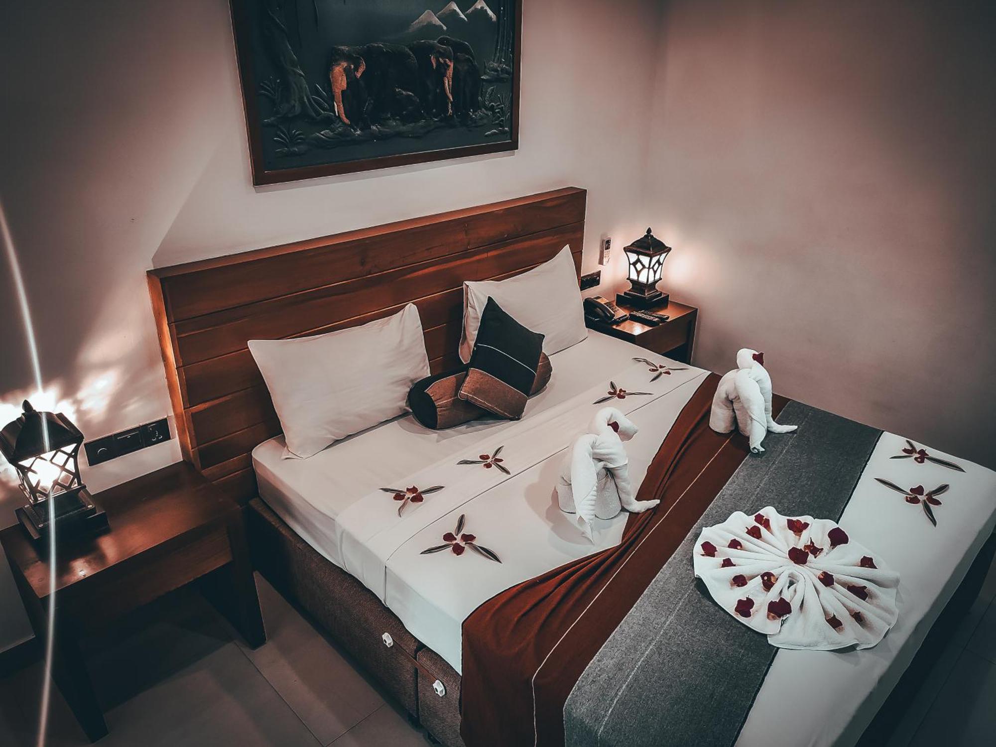 פינאוואלה Hotel Elephant Park - New Deal! Half Off Airport Pickups Available מראה חיצוני תמונה