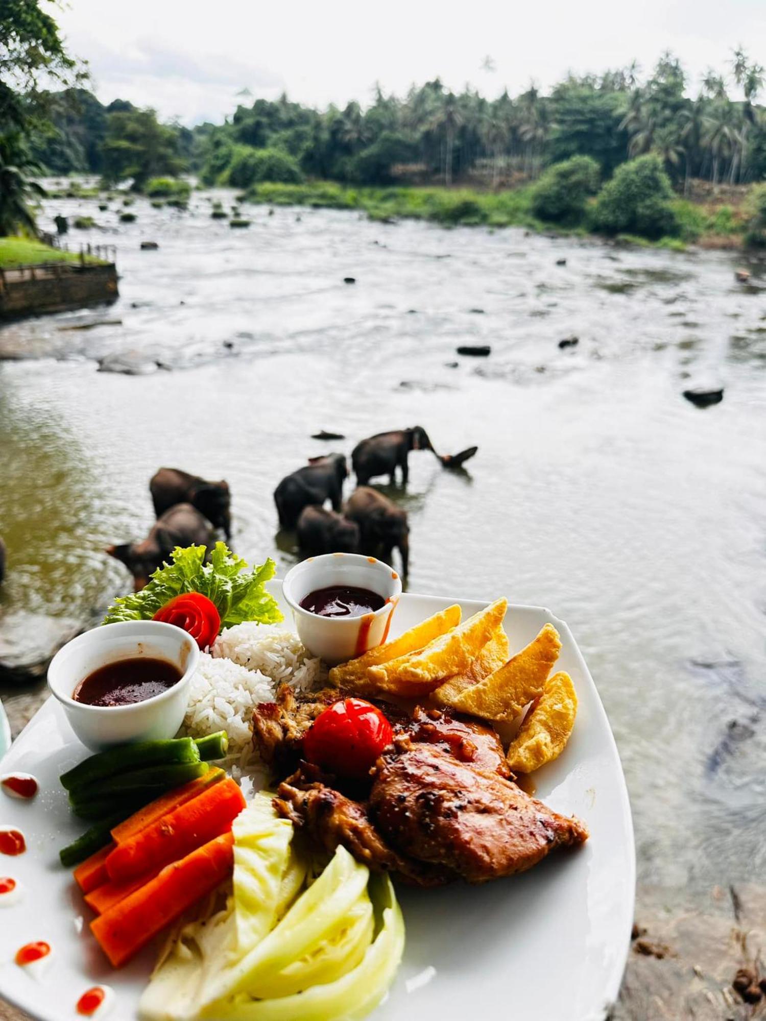 פינאוואלה Hotel Elephant Park "Grand Royal Pinnalanda" מראה חיצוני תמונה